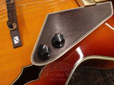 ARIA 2014 FA-BW Sunburst_15