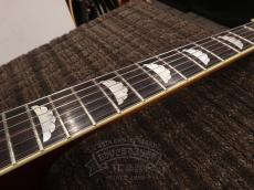 ARIA 2014 FA-BW Sunburst_17