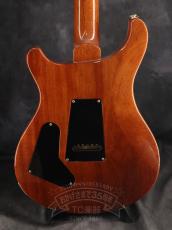 Paul Reed Smith [PRS] 2014 Custom 24 Wood Library Blue Matteo_5