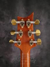 Paul Reed Smith [PRS] 2014 Custom 24 Wood Library Blue Matteo_7