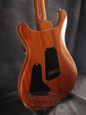 Paul Reed Smith [PRS] 2014 Custom 24 Wood Library Blue Matteo_8