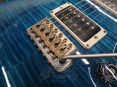 Paul Reed Smith [PRS] 2014 Custom 24 Wood Library Blue Matteo_14
