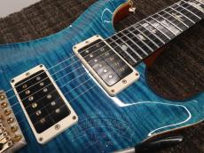 Paul Reed Smith [PRS] 2014 Custom 24 Wood Library Blue Matteo_15