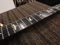 Paul Reed Smith [PRS] 2014 Custom 24 Wood Library Blue Matteo_17