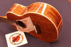 aNueNue aNN-AAA2 Solid Acacia Gloss Concert with Paua Shell Rosette Ukulele #5670