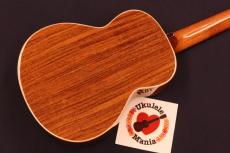aNueNue aNN-AAA2 Solid Acacia Gloss Concert with Paua Shell Rosette Ukulele #5670_2