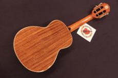 aNueNue aNN-AAA2 Solid Acacia Gloss Concert with Paua Shell Rosette Ukulele #5670_4