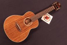 aNueNue aNN-AAA2 Solid Acacia Gloss Concert with Paua Shell Rosette Ukulele #5670_8