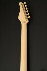 SCHECTER SD-2-24-AS-VTR -Blonde w/Gold Parts- #S2312359 【限定生産モデル】_9