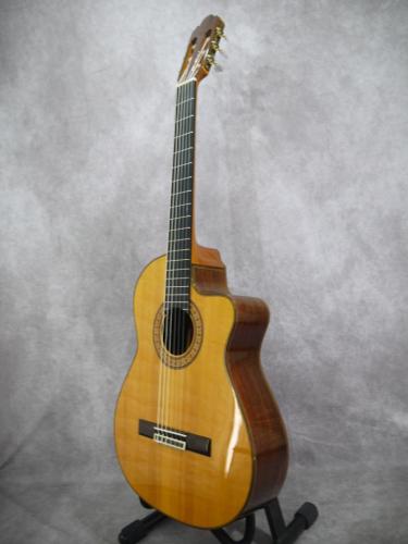 Antonio Sanchez [アントニオ・サンチェス] Model 2000 