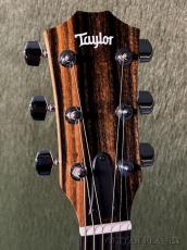 Taylor 214ce Special Edition Honey Burst #2202236402【48回迄金利0%対象】【送料当社負担】_4