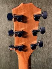 Taylor 214ce Special Edition Honey Burst #2202236402【48回迄金利0%対象】【送料当社負担】_5