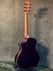 Taylor 214ce Special Edition Honey Burst #2202236402【48回迄金利0%対象】【送料当社負担】_7