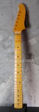 WARMOTH Maple Neck 22F / Moderen Mooncaster