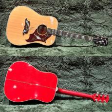 Gibson 【Gibson Expo 出展品】DOVE【現物動画あり】【2015年製中古】【カスタムショップ】