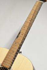 Martin D-X2E Billy Strings #2940537 【Custom Signature】【43.6mmナット/635mmスケール】_7