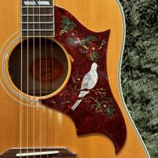 Gibson 【Gibson Expo 出展品】DOVE【現物動画あり】【2015年製中古】【カスタムショップ】_7