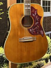 Epiphone 【日本総本店】【憧れのルックス】Inspired by Gibson Hummingbird Aged Natural Gloss #25041501197 