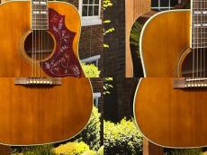Epiphone 【日本総本店】【憧れのルックス】Inspired by Gibson Hummingbird Aged Natural Gloss #25041501197 _6