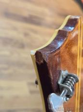 D'Angelico 1958-1960s Double Electric G-7 / Amber -Vintage!!-【48回迄金利0%対象】_9