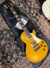 Edwards E-LP-108LTS_2