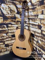 Paco Castillo パコ・カスティージョ 215F 松・シープレス【日本総本店2F在庫品】