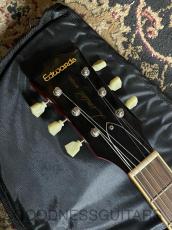 Edwards E-LP-108LTS_3