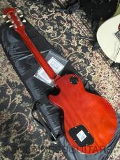 Edwards E-LP-108LTS_5