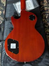 Edwards E-LP-108LTS_6