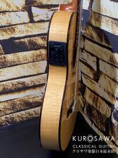 Paco Castillo パコ・カスティージョ Model:233FTE 松・メイプル Thin Body【日本総本店2F在庫品】_7