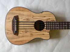 KALA UBASS-SP-MAPL-FS