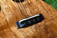 tkitki ukulele ECO-C+/Hawaiian Koa Concert 【S/N1577】_12