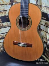 Antonio Lopez [アントニオ・ロペス] 2024年製 Professional プロフェッショナル 杉・ローズ 【日本総本店2F 在庫品】