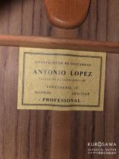 Antonio Lopez [アントニオ・ロペス] 2024年製 Professional プロフェッショナル 杉・ローズ 【日本総本店2F 在庫品】_4