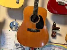 Martin D-35 1974
