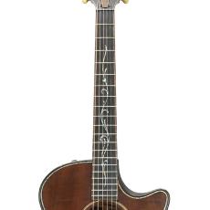 Taylor Builder’s Edition K24ce_6