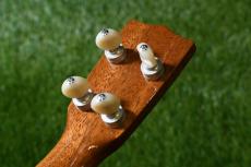 tkitki ukulele ECO-C+/Hawaiian Koa Concert 【S/N1576】_6