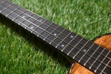 tkitki ukulele HK-C DLX Cutom Concert【S/N1579】_7