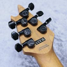 EVH WOLFGANG WG STANDARD Royalty Purple 「メーカーアウトレット特価品」_10