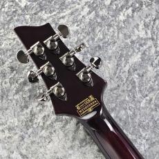 SCHECTER HELLRAISER AD-C-1-FR -Black Cherry-_8