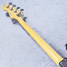 ATELIER Z 15th Anniversary Model AN-25   【3.94kg】_8