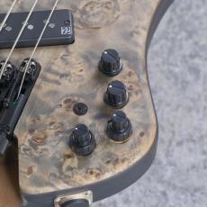 Ibanez EHB1505MS -Black Ice Flat-【3.23kg】【#I250313816】_3
