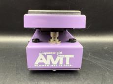 AMT ELECTRONICS WH-1 Japanese Girl_3
