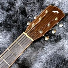 Morris FLB-80 TQB -Hand Made Premium- 【特価】【オール単板】【日本製】_7