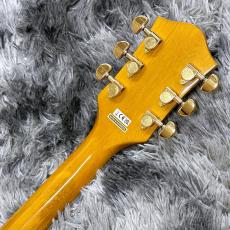 Gretsch G5034TFT Rancher Dreadnought w/Fideli-Tron Pickup&Bigsby Savannah Sunset_7