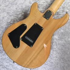 Paul Reed Smith [PRS] SE CE24 エレキギター_6