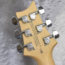 Paul Reed Smith [PRS] SE CE24 エレキギター_10