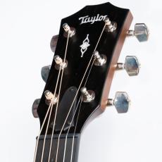 Taylor 314ce_4