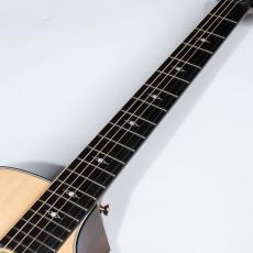 Taylor 314ce_7