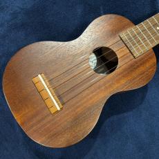 Famous FS-1G